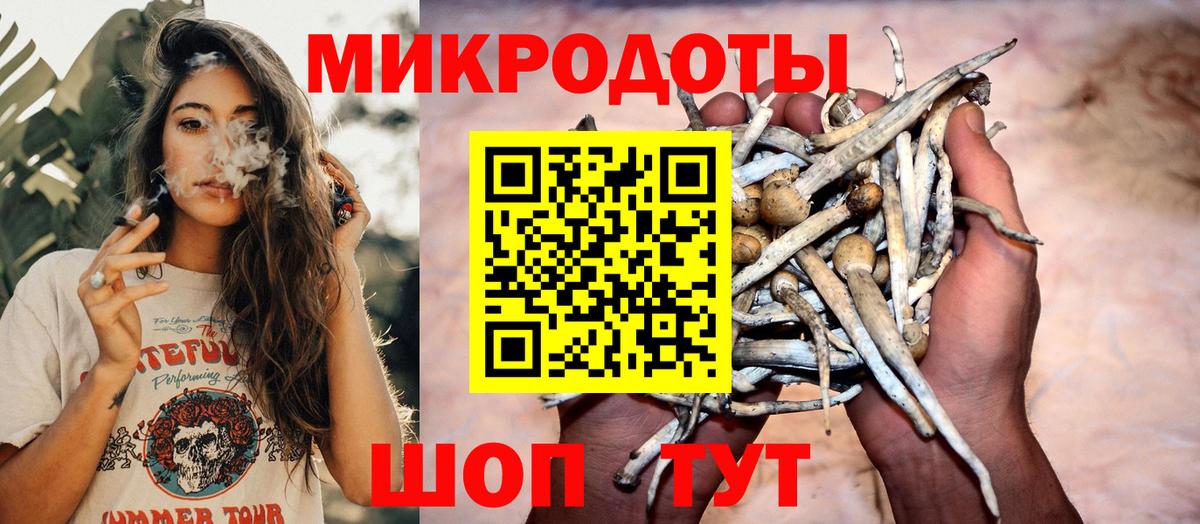 Галлюциногенные грибы Psilocybine cubensis  Вход с VPN  Мыски 