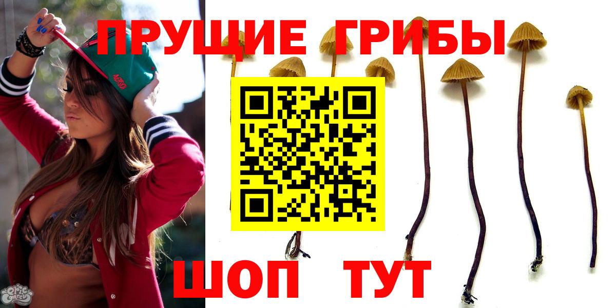 Галлюциногенные грибы Cubensis Мыски